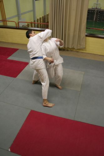 Oktobrski trening aikida