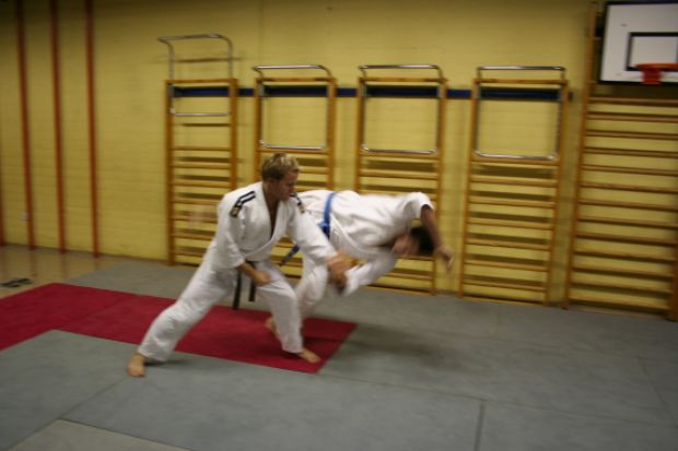 Oktobrski trening aikida