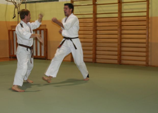 Trening na novih blazinah