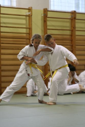 Izpiti 18.6.2010